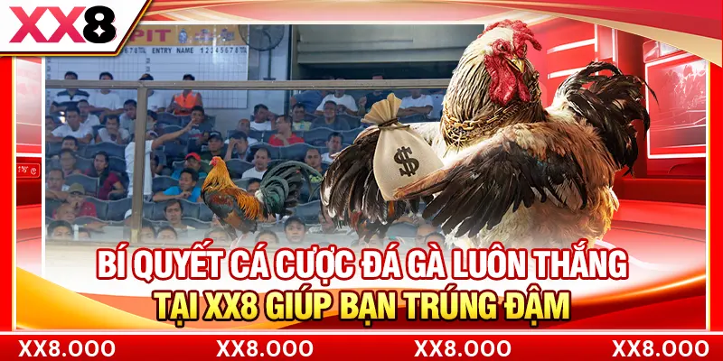 Bí Quyết Cá Cược Đá Gà Luôn Thắng Tại XX8 Giúp Bạn Trúng Đậm