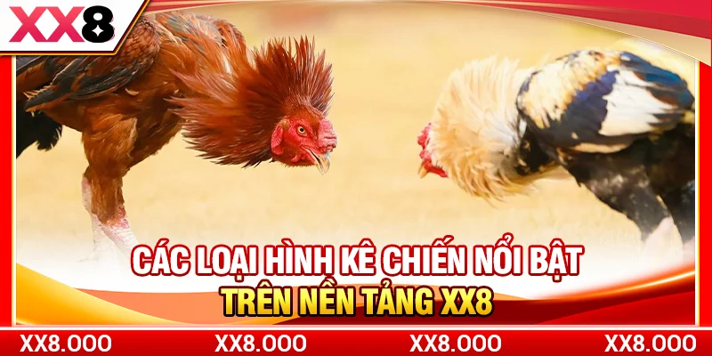 Các loại hình kê chiến nổi bật trên nền tảng XX8