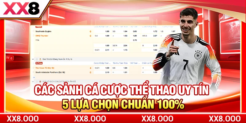 Các Sảnh Cá Cược Thể Thao Uy Tín | 5 Lựa Chọn Chuẩn 100%