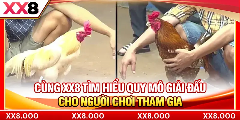 Cùng XX8 tìm hiểu quy mô giải đấu cho người chơi tham gia