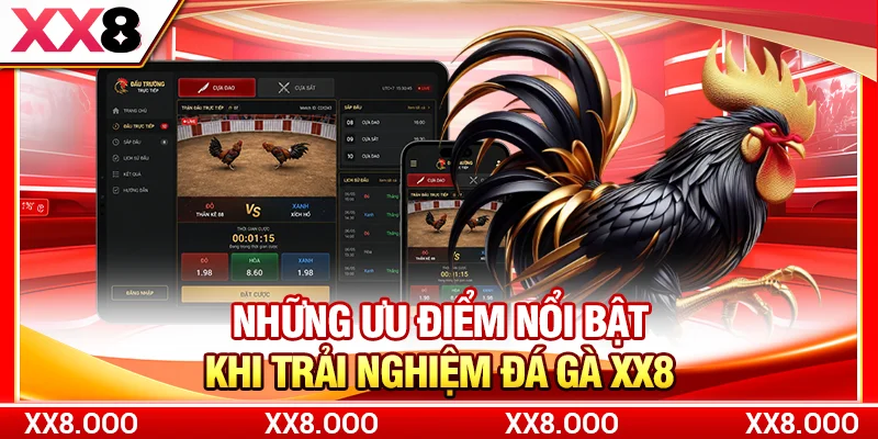 Những ưu điểm nổi bật khi trải nghiệm đá gà XX8